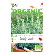 Buzzy® Organic Rozemarijn  (BIO) - afbeelding 1