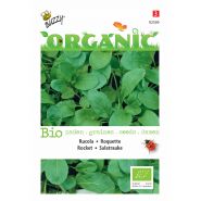 Buzzy® Organic Rucola (BIO) - afbeelding 1