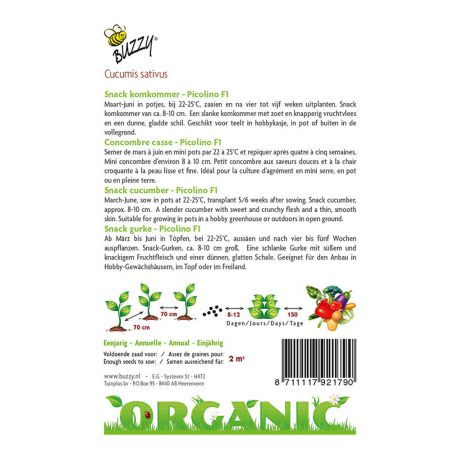 Buzzy® Organic Snackkomkommer Picolino F1 (BIO) - afbeelding 2