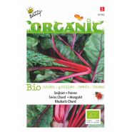 Buzzy® Organic Snijbiet Rhubard Chard  (BIO) - afbeelding 1