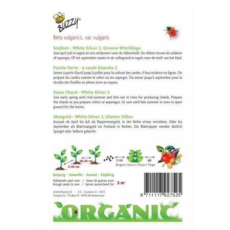 Buzzy® Organic Snijbiet White Silver 2 (BIO) - afbeelding 2