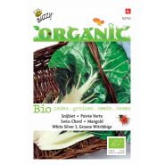 Buzzy® Organic Snijbiet White Silver 2 (BIO) - afbeelding 1