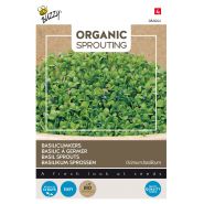 Buzzy® Organic Sprouting Basilicumkers (BIO) - afbeelding 1