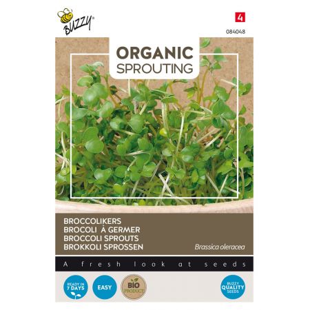 Buzzy® Organic Sprouting Broccolikers (BIO) - afbeelding 1