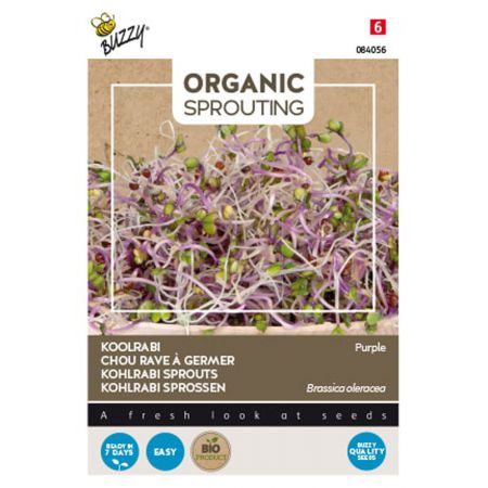 Buzzy® Organic Sprouting Koolrabi blauwpaars (BIO) - afbeelding 1