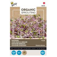 Buzzy® Organic Sprouting Koolrabi blauwpaars (BIO) - afbeelding 1