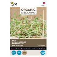 Buzzy® Organic Sprouting Linzen  (BIO) - afbeelding 1