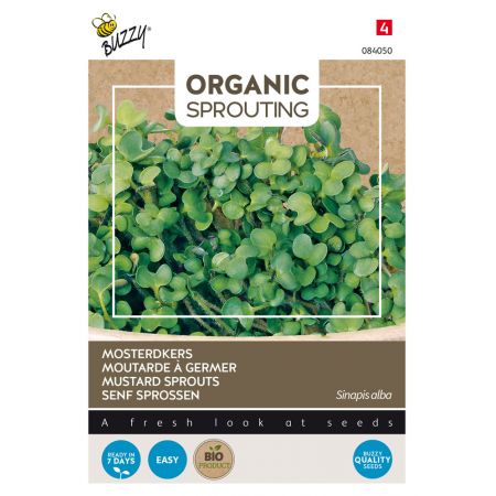 Buzzy® Organic Sprouting Mosterdkers  (BIO) - afbeelding 1