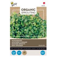 Buzzy® Organic Sprouting Mosterdkers  (BIO) - afbeelding 1