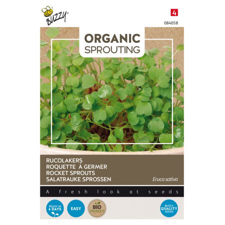 Buzzy® Organic Sprouting Rucolakers  (BIO) - afbeelding 1