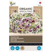 Buzzy® Organic Sprouting Salademengsel pikant (BIO) - afbeelding 1