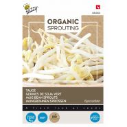 Buzzy® Organic Sprouting Taugé  (BIO) - afbeelding 1