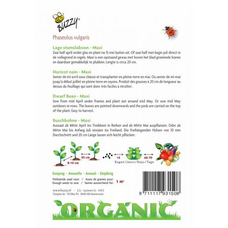 Buzzy® Organic Stamslabonen Maxi  (BIO) - afbeelding 2