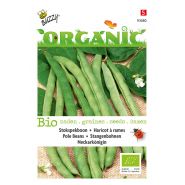 Buzzy® Organic Stokspekboon Neckarkönigin (BIO) - afbeelding 1