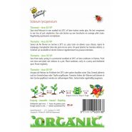 Buzzy® Organic Tomaten Ace 55 VF  (BIO) - afbeelding 2