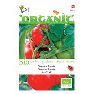 Buzzy® Organic Tomaten Ace 55 VF  (BIO) - afbeelding 1