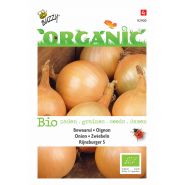 Buzzy® Organic Ui Rijnsburger 5, bewaarui (BIO) - afbeelding 1