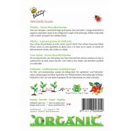 Buzzy® Organic Veldsla Grote Noordhollandse  (BIO) - afbeelding 2