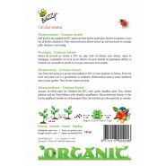 Buzzy® Organic Watermeloen Crimson Sweet (BIO) - afbeelding 2