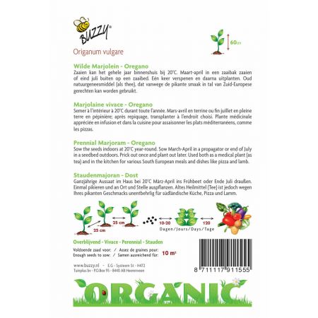 Buzzy® Organic Wilde Marjolein - Oregano (BIO) - afbeelding 2