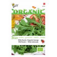 Buzzy® Organic Wilde Rucola  (BIO) - afbeelding 1