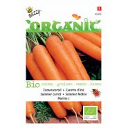 Buzzy® Organic Zomerwortelen Nantes 2  (BIO) - afbeelding 1