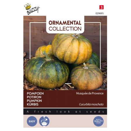 Buzzy® Ornamental Courgette Musque De Provence - afbeelding 1