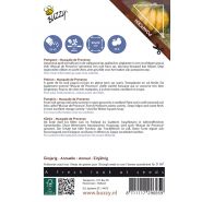 Buzzy® Ornamental Courgette Musque De Provence - afbeelding 2