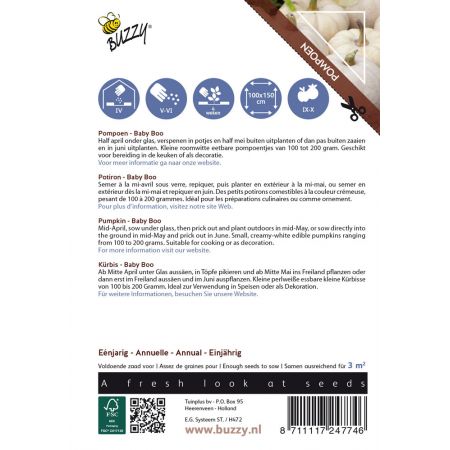 Buzzy® Ornamental, Pompoen Baby Boo - afbeelding 2