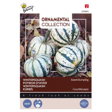 Buzzy® Ornamental Wintersquash Sweet Dumpling - afbeelding 1