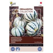 Buzzy® Ornamental Wintersquash Sweet Dumpling - afbeelding 1