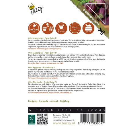 Buzzy® Patio Vegetables, Aubergine Patio Baby F1 - afbeelding 2