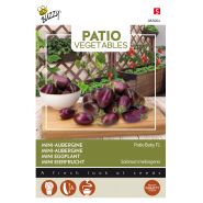 Buzzy® Patio Vegetables, Aubergine Patio Baby F1 - afbeelding 1