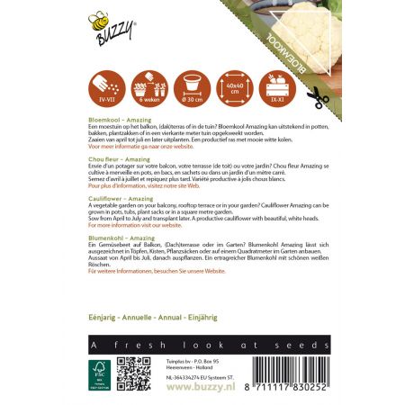 Buzzy® Patio Vegetables, Bloemkool Amazing - afbeelding 2