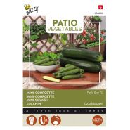 Buzzy® Patio Vegetables, Courgette Patio Star F1 - afbeelding 1