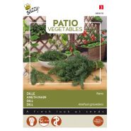 Buzzy® Patio Vegetables, Dille nano - afbeelding 1