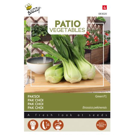 Buzzy® Patio Vegetables, Pak Choi Green - afbeelding 1