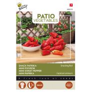 Buzzy® Patio Vegetables, Paprika Snacking Red - afbeelding 1