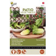 Buzzy® Patio Vegetables, Romeinse Mini-sla (gemengd) - afbeelding 1