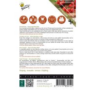 Buzzy® Patio Vegetables, Tomaat Gourmandise Red - afbeelding 2