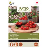 Buzzy® Patio Vegetables, Tomaat Gourmandise Red - afbeelding 1