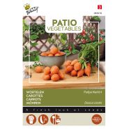 Buzzy® Patio Vegetables, Wortel Parijse Markt - afbeelding 1