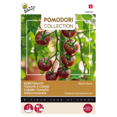 Buzzy® Pomodori, Kerstomaat Black Cherry - afbeelding 1