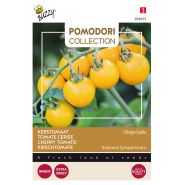 Buzzy® Pomodori, Kerstomaat Ciliegia Gialla - afbeelding 1