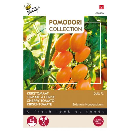 Buzzy® Pomodori, Kerstomaat Dolly F1 - afbeelding 1