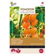 Buzzy® Pomodori, Kerstomaat Dolly F1 - afbeelding 1