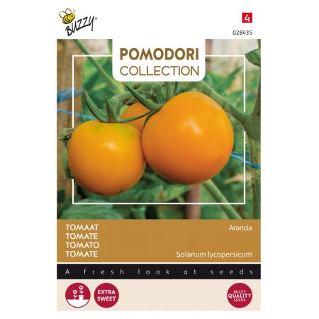 Buzzy® Pomodori, Tomaat Arancia - afbeelding 1