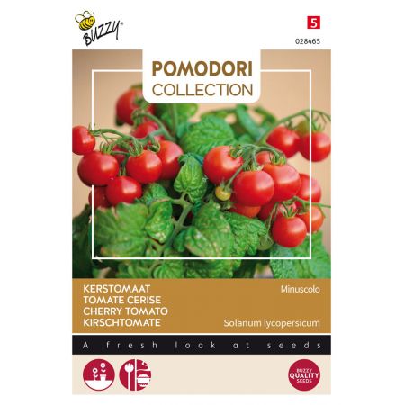 Buzzy® Pomodori, Tomaat Minuscolo - afbeelding 1