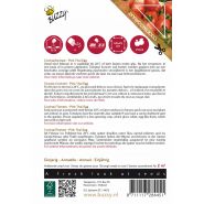 Buzzy® Pomodori, Tomaat Pink Thai Egg - afbeelding 2