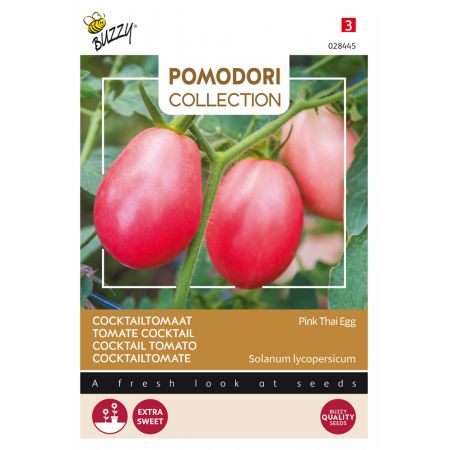 Buzzy® Pomodori, Tomaat Pink Thai Egg - afbeelding 1